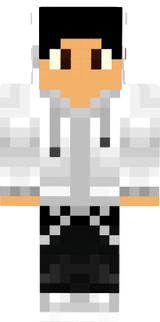 VitHorGamer