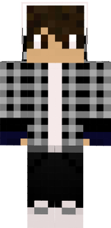 skin.toha