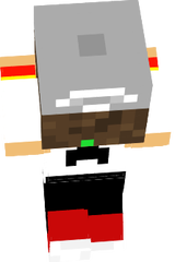 skin