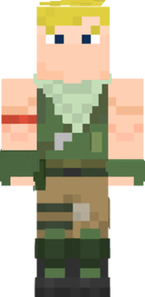 default.skin