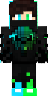 sas