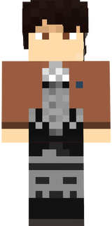LivaiS4
