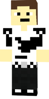 Skin dh 2.2