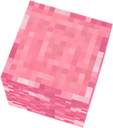Pink birch