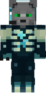 bobicraft Warden