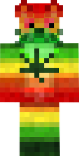 gato makonha