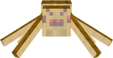 Spider(Today days)