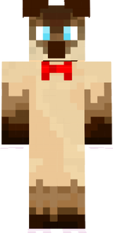 Nusair siamese uploaded