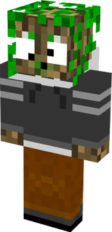 RANDOM SKIN