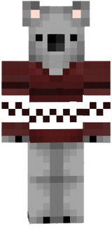Raider009