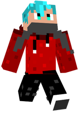 Skin 1