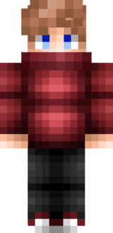 ds