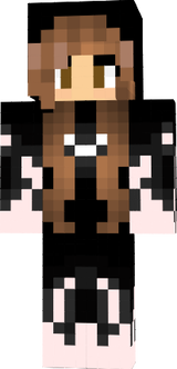 skin minecraft