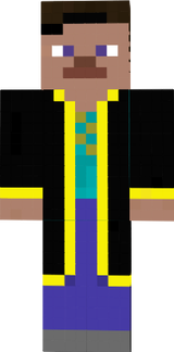 steve o mago