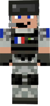 armee de france skin mincraft
