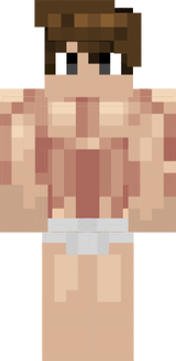 Mixe body builder
