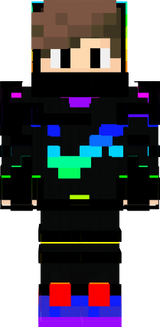 ninja multi color 
