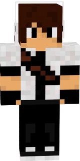 miniminer231
