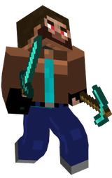 steve du future 