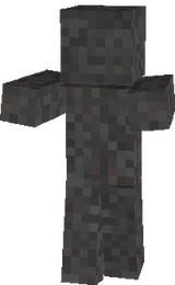 Shadow