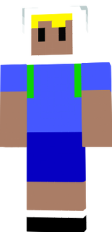 fin