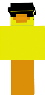duck