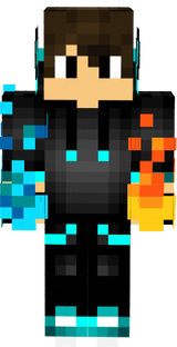 skin