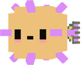 elder