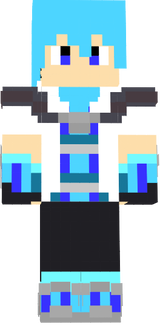 Flook_V1