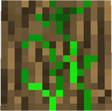 block/oak_log