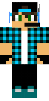 skin