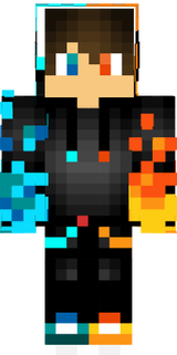 1 skin