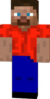 Preview of texture: steve2