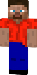steve2