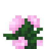 peony_top.png