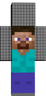 Steve