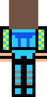 skin