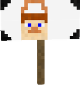 сумка стив