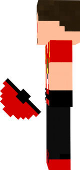 pokeball pokemon trainer