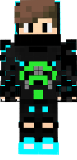 skin