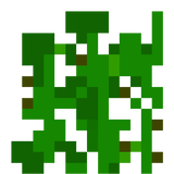 tomate base