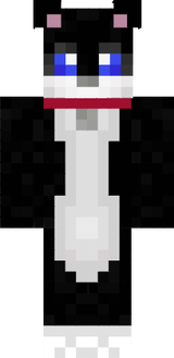 san1000