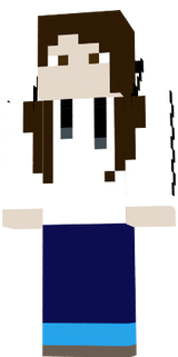 skin minecraft 