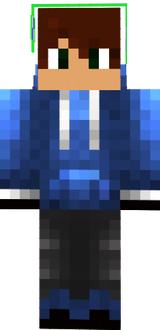 Netynho