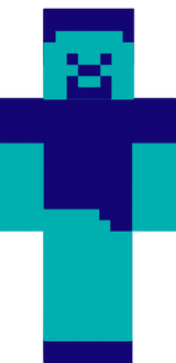2 color Steve (2)