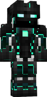 skin 1