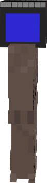among head