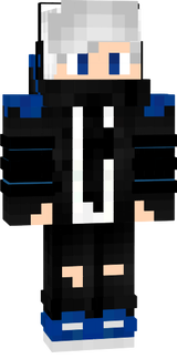 hw skin