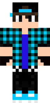 top skin