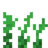 carrots_stage_2